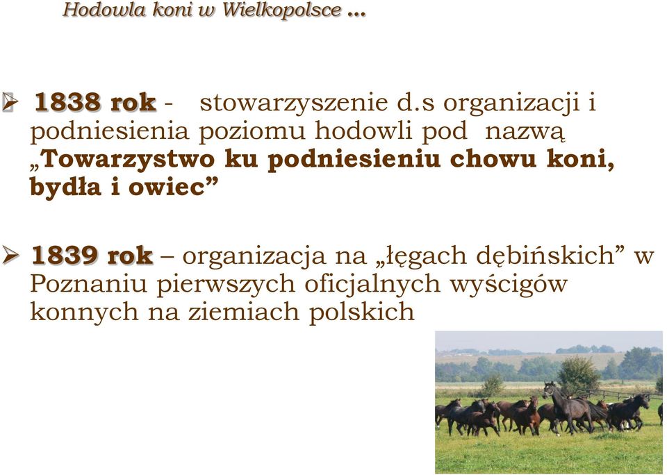 podniesieniu chowu koni, bydła i owiec 1839 rok organizacja na łęgach
