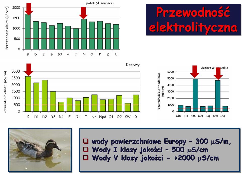 S/m, Wody I klasy jakości 500