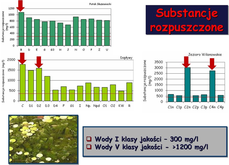 klasy jakości 300
