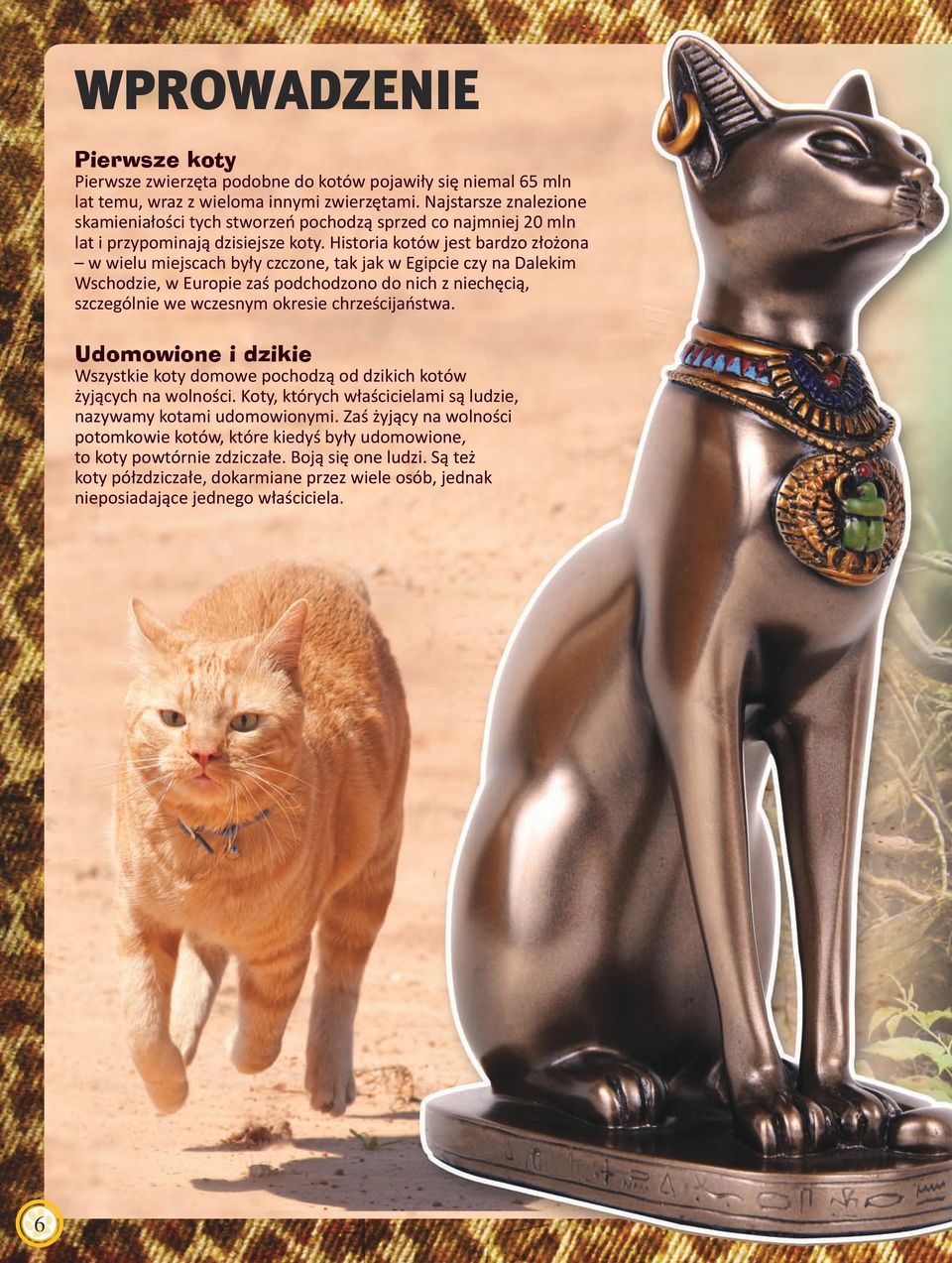 Historia kotów jest bardzo złożona w wielu miejscach były czczone, tak jak w Egipcie czy na Dalekim Wschodzie, w Europie zaś podchodzono do nich z niechęcią, szczególnie we wczesnym okresie
