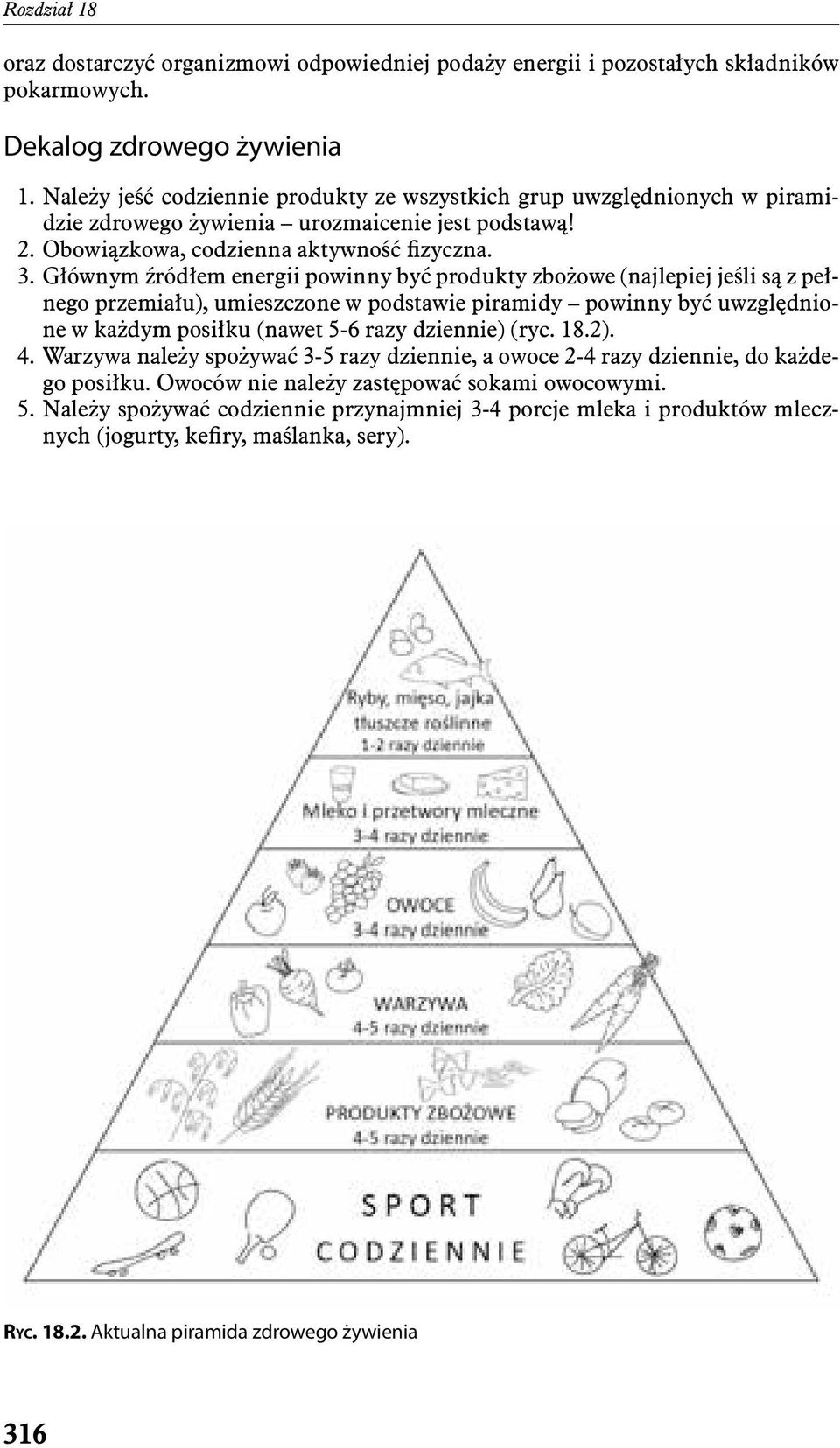 Głównym źródłem energii powinny być produkty zbożowe (najlepiej jeśli są z pełnego przemiału), umieszczone w podstawie piramidy powinny być uwzględnione w każdym posiłku (nawet 5-6 razy dziennie)