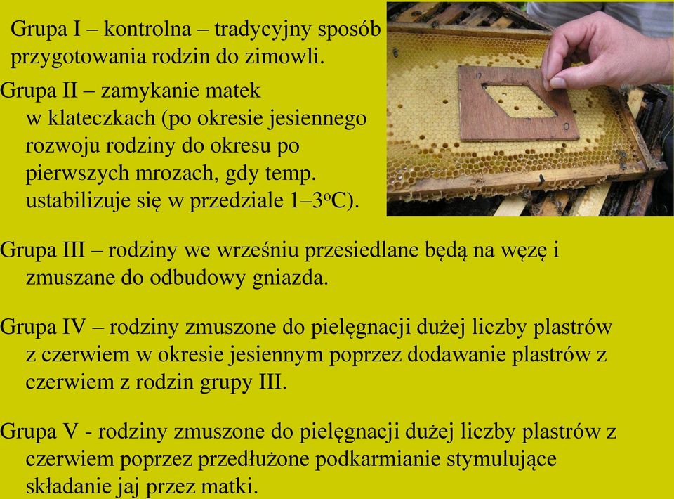 ustabilizuje się w przedziale 1 3 o C). Grupa III rodziny we wrześniu przesiedlane będą na węzę i zmuszane do odbudowy gniazda.