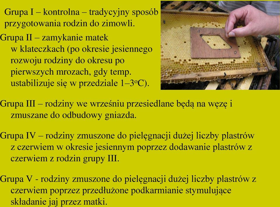 ustabilizuje się w przedziale 1 3 o C). Grupa III rodziny we wrześniu przesiedlane będą na węzę i zmuszane do odbudowy gniazda.