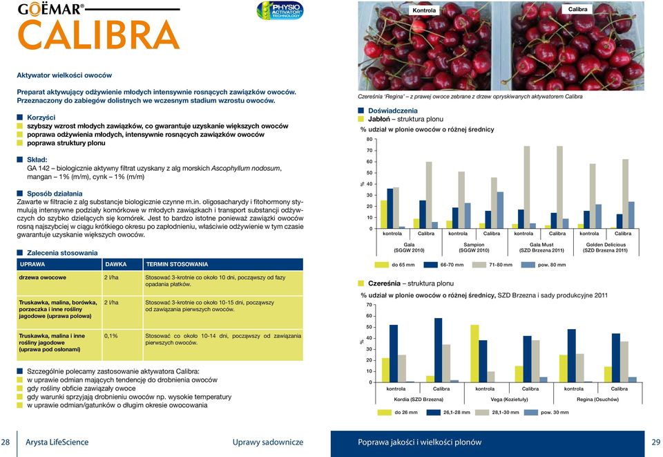 prawej owoce zebrane z drzew opryskiwanych aktywatorem libra Doświadczenia Jabłoń struktura plonu % udział w plonie owoców o różnej średnicy 80 70 Skład: GA 142 biologicznie aktywny filtrat uzyskany