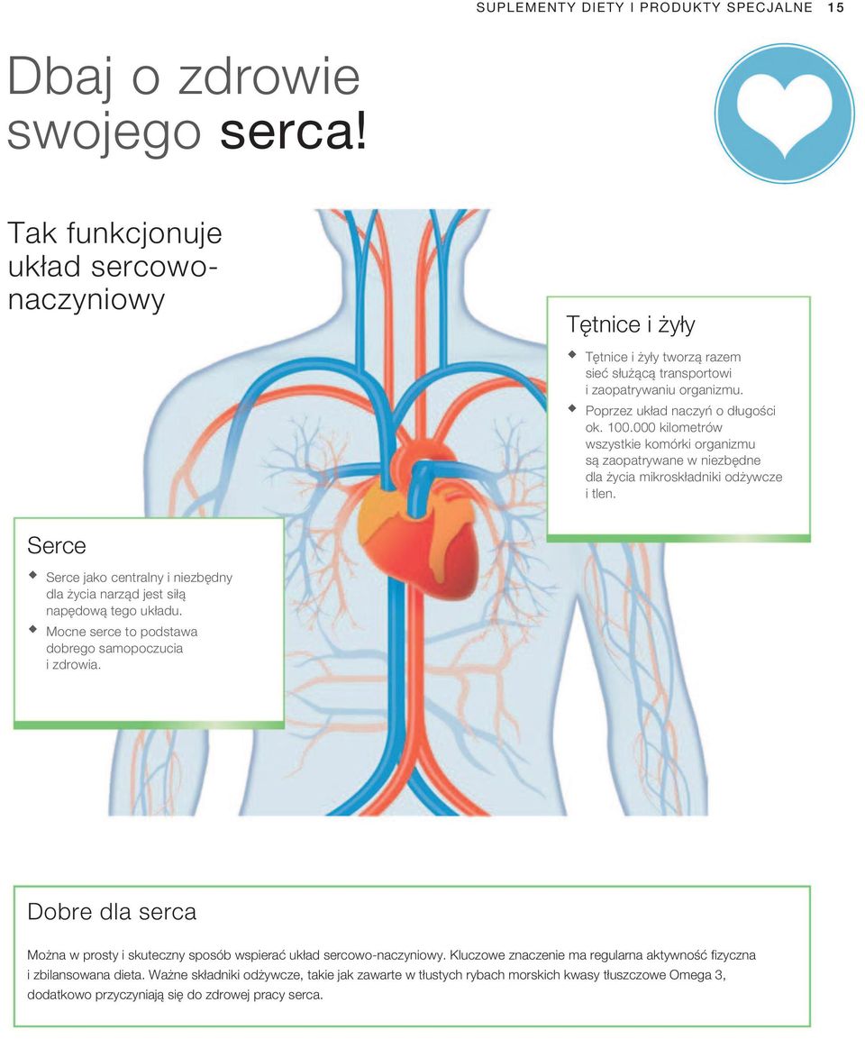 000 kilometrów wszystkie komórki organizmu są zaopatrywane w niezbędne dla życia mikroskładniki odżywcze i tlen. Serce Serce jako centralny i niezbędny dla życia narząd jest siłą napędową tego układu.
