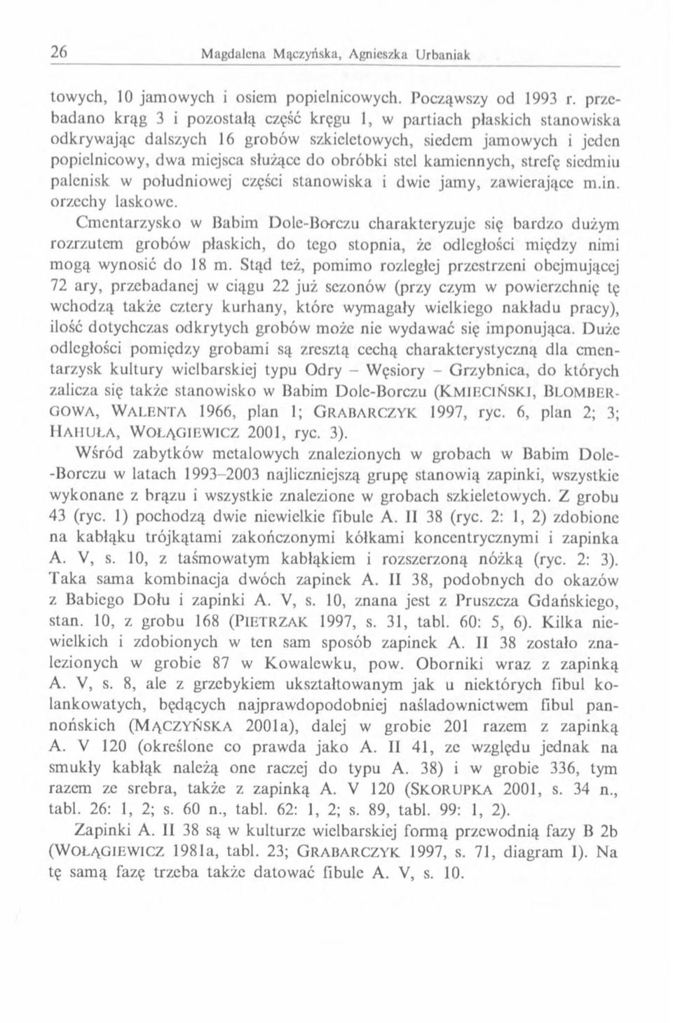 kamiennych, strefę siedmiu palenisk w południowej części stanowiska i dwie jamy, zawierające m.in. orzechy laskowe.