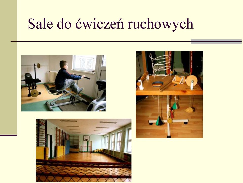 ruchowych
