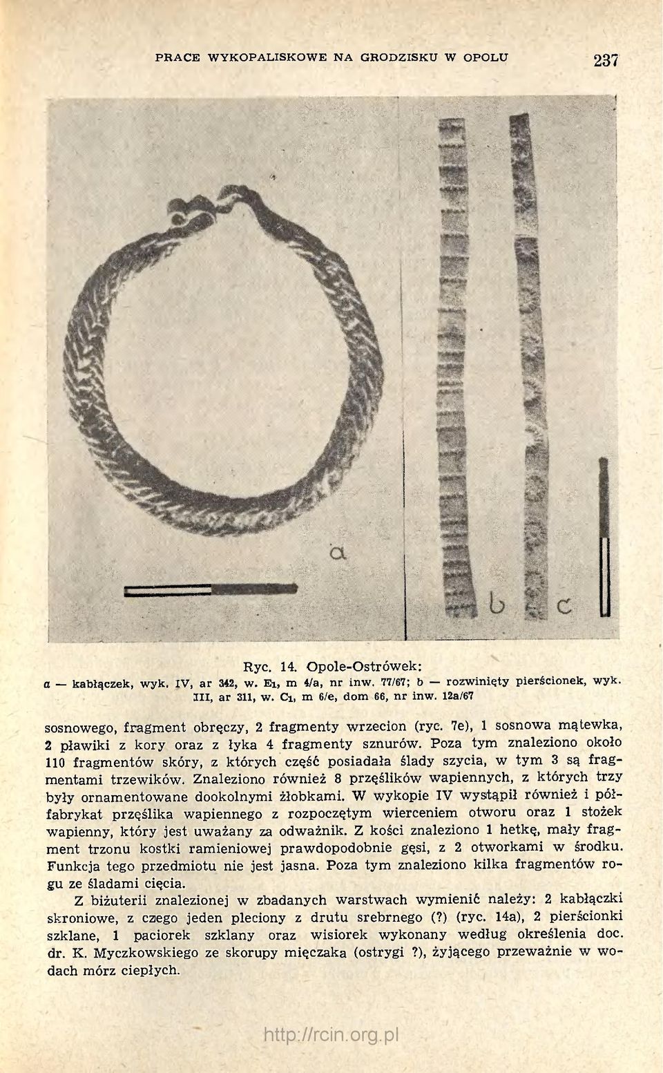 Poza tym znaleziono około 110 fragmentów skóry, iz których część posiadała ślady szycia, w tym 3 są fragmentami trzewików.