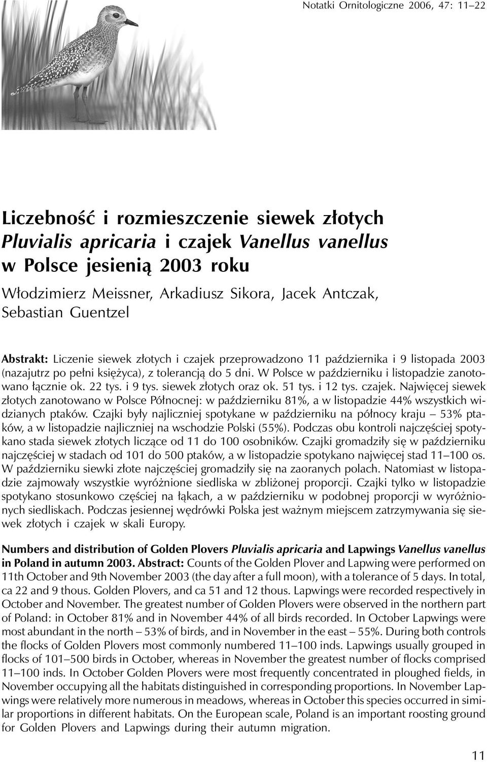 W Polsce w październiku i listopadzie zanotowano łącznie ok. 22 tys. i 9 tys. siewek złotych oraz ok. 51 tys. i 12 tys. czajek.