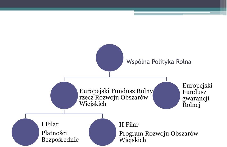 Fundusz gwarancji Rolnej I Filar Płatności