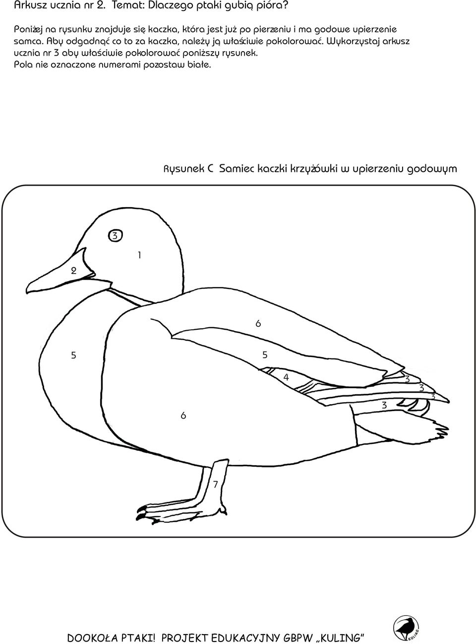 Aby odgadn¹æ co to za kaczka, nale y j¹ w³aœciwie pokolorowaæ.