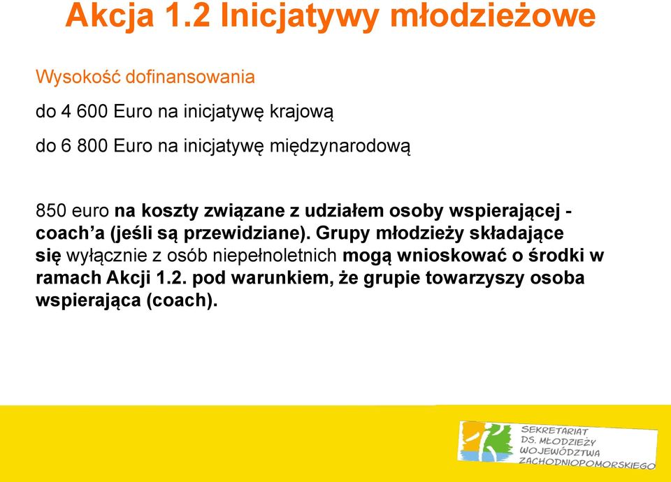 na inicjatywę międzynarodową 850 euro na koszty związane z udziałem osoby wspierającej - coach a