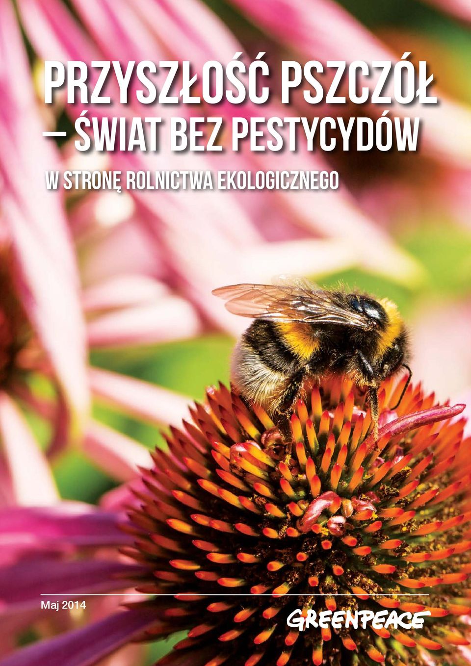 ŚWIAT BEZ