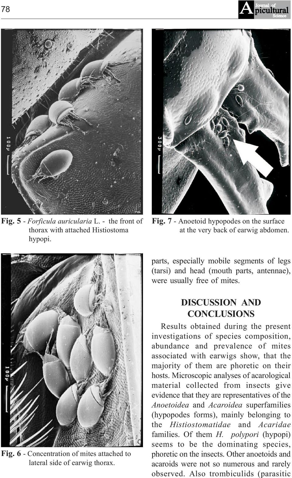 DISCUSSION AND CONCLUSIONS Results obtained during the present investigations of species composition, abundance and prevalence of mites associated with earwigs show, that the majority of them are