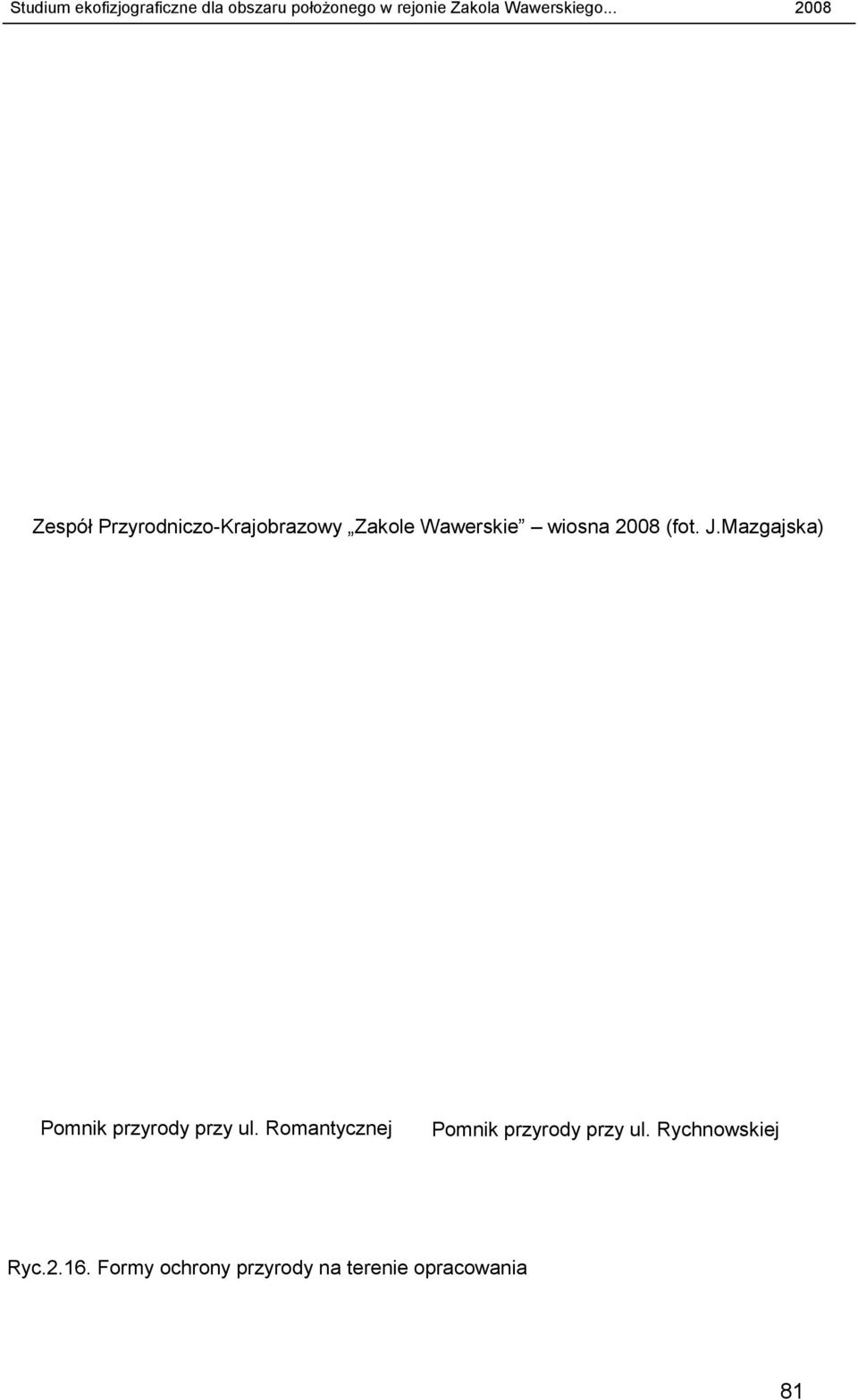 Mazgajska) Pomnik przyrody przy ul.