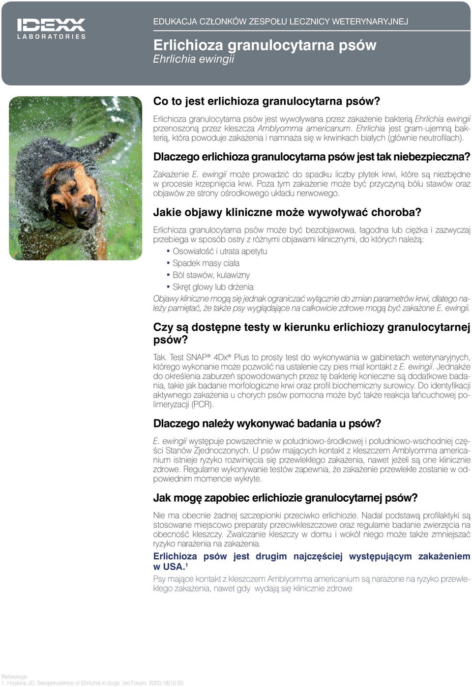 Ehrlichia jest gram-ujemną bakterią, która powoduje zakażenia i namnaża się w krwinkach białych (głównie neutrofilach). Dlaczego erlichioza granulocytarna psów jest tak niebezpieczna? Zakażenie E.