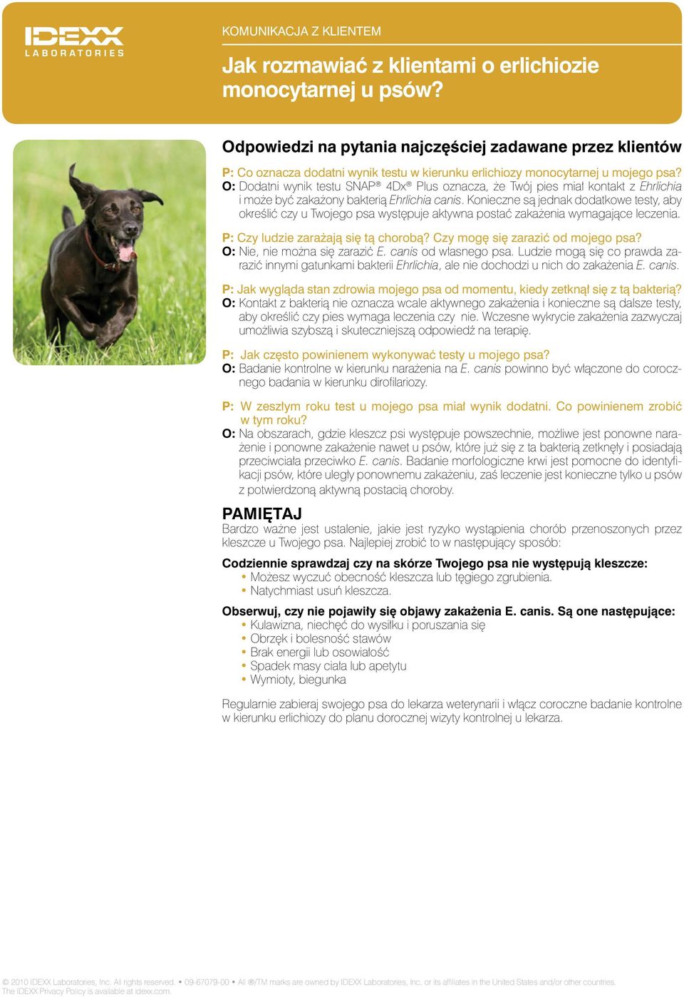 O: Dodatni wynik testu SNAP 4Dx Plus oznacza, że Twój pies miał kontakt z Ehrlichia i może być zakażony bakterią Ehrlichia canis.