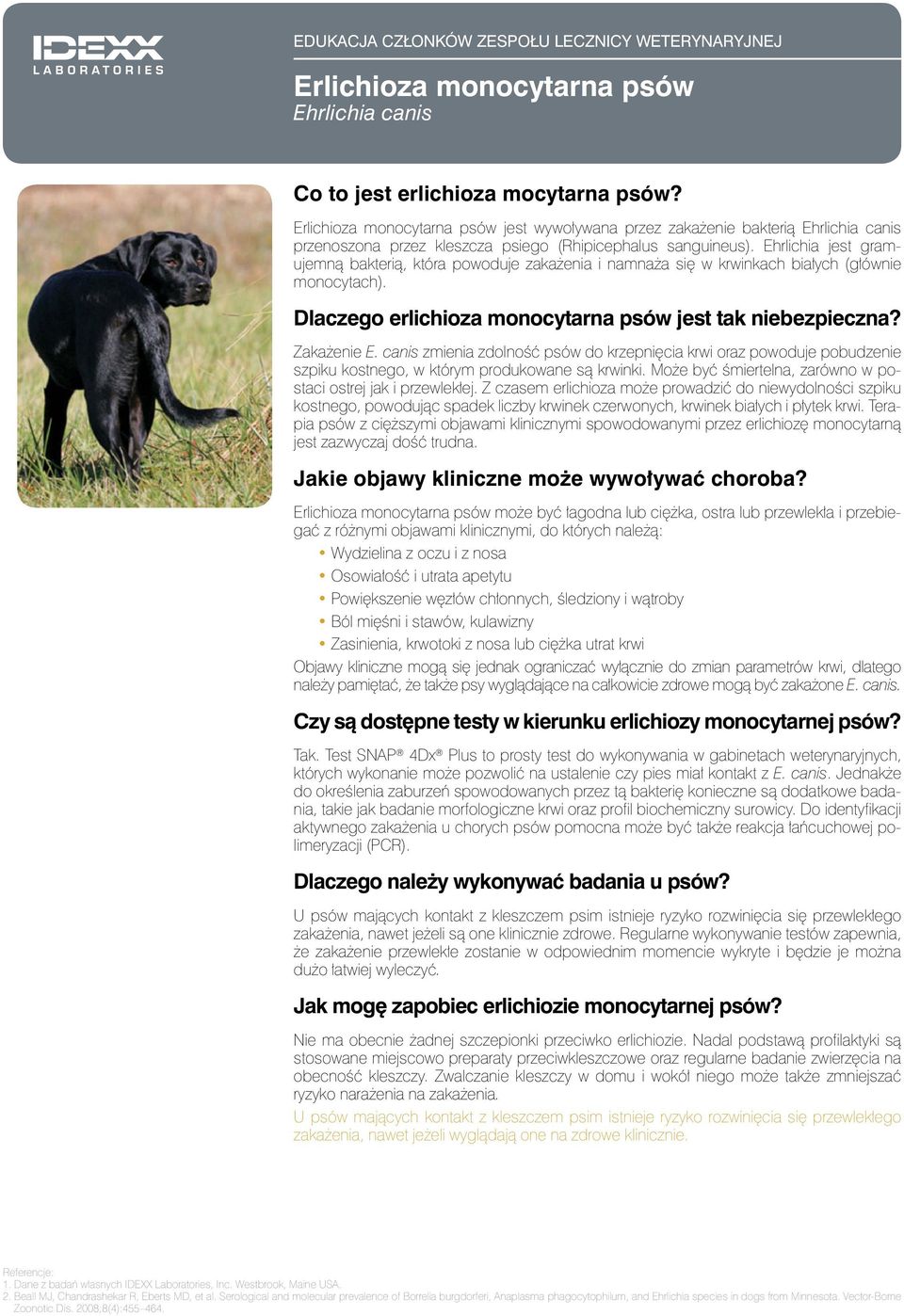 Ehrlichia jest gramujemną bakterią, która powoduje zakażenia i namnaża się w krwinkach białych (głównie monocytach). Dlaczego erlichioza monocytarna psów jest tak niebezpieczna? Zakażenie E.
