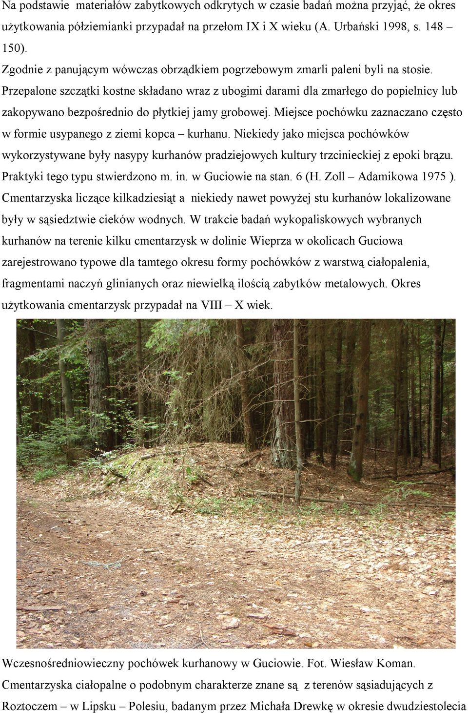 Przepalone szczątki kostne składano wraz z ubogimi darami dla zmarłego do popielnicy lub zakopywano bezpośrednio do płytkiej jamy grobowej.
