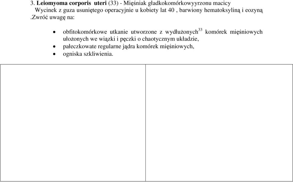 zwróć uwagę na: obfitokomórkowe utkanie utworzone z wydłużonych 33 komórek mięśniowych