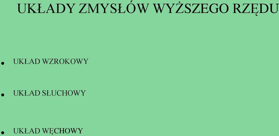 WZROKOWY UKŁAD
