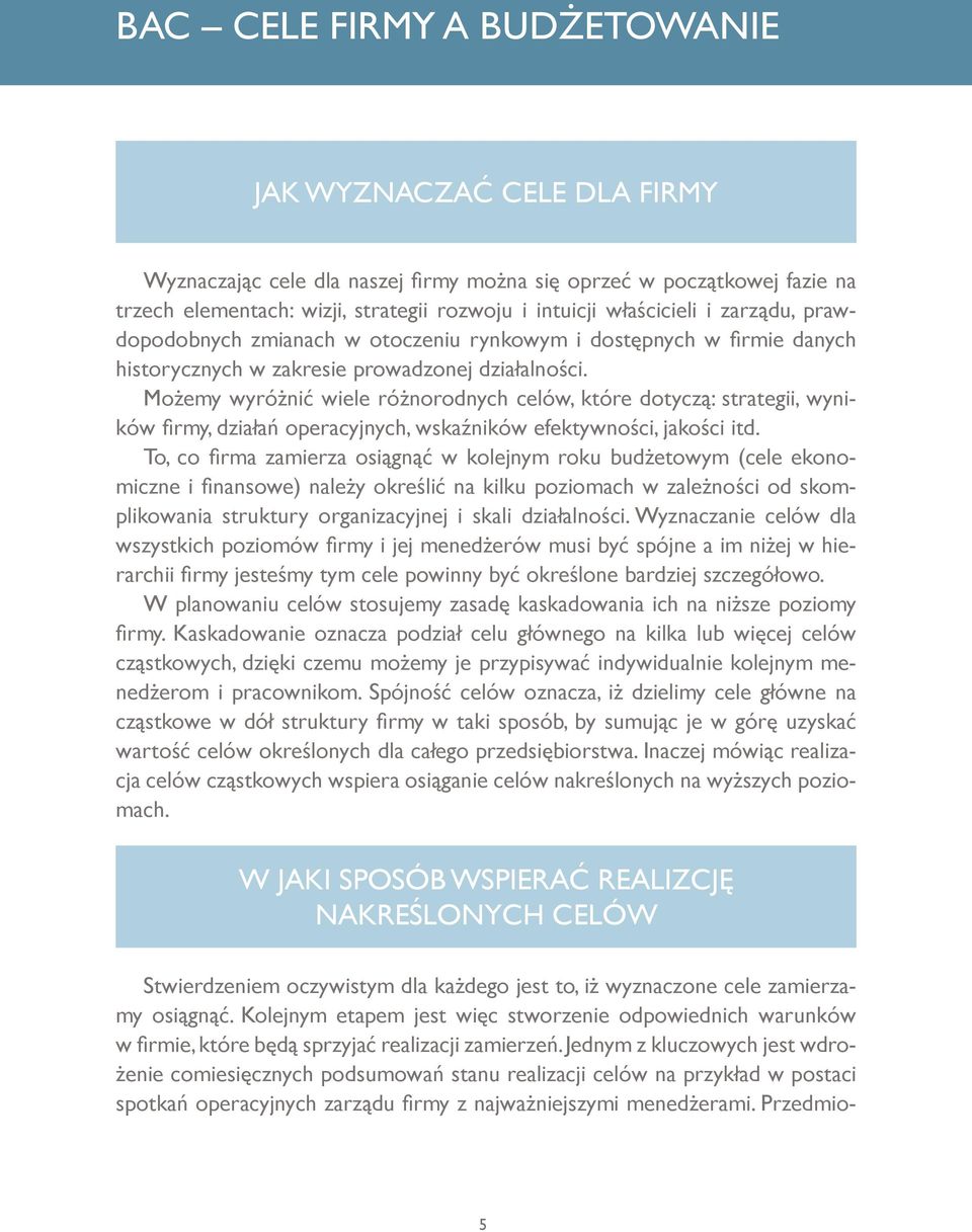 Możemy wyróżnić wiele różnorodnych celów, które dotyczą: strategii, wyników firmy, działań operacyjnych, wskaźników efektywności, jakości itd.