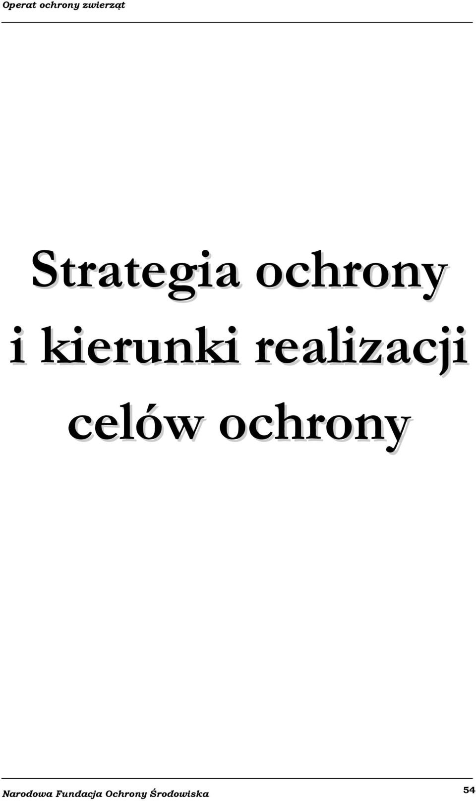 kierunki