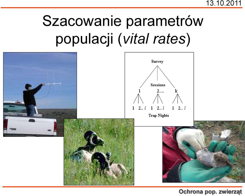 parametrów