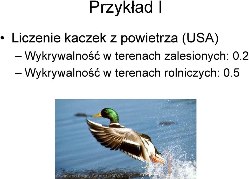 terenach zalesionych: 0.