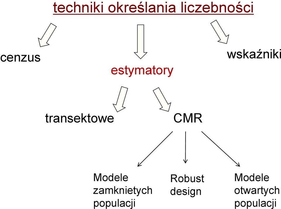 transektowe CMR Modele zamknietych