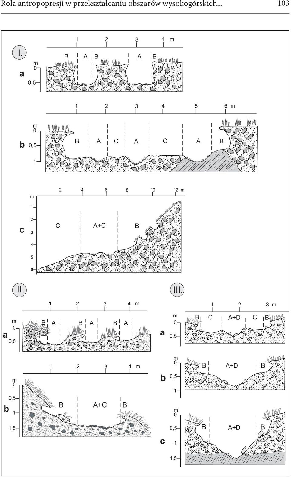 a,5 A A 2 3 4 5 6 b,5 A C A C A 2 4 6 8 2 c 2 3 4 C