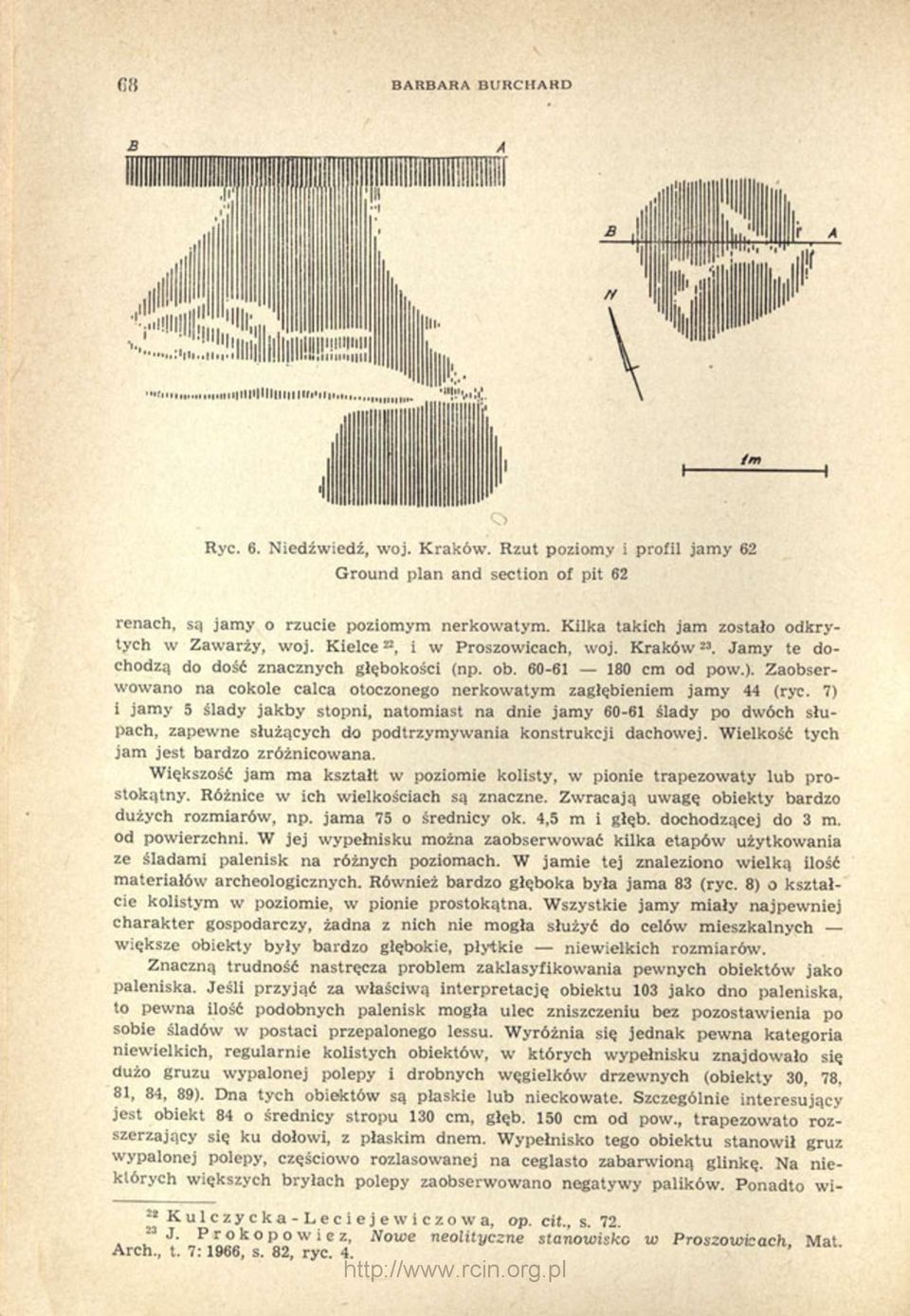 Zaobserwowano na cokole calca otoczonego nerkowatym zagłębieniem jamy 44 (ryc.