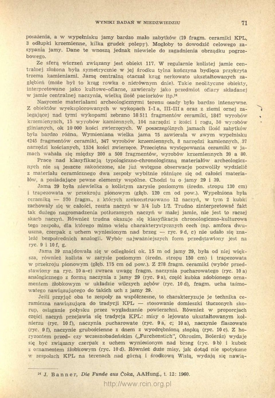 W regularnie kolistej jamie centralnej złożona była symetrycznie w jej środku tylna kończyna bydlęca przykryta trzema kamieniami.