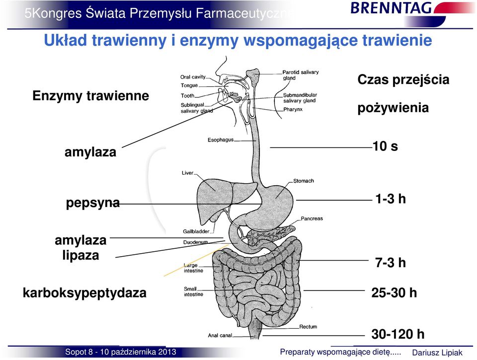 pożywienia amylaza 10 s pepsyna 1-3 h