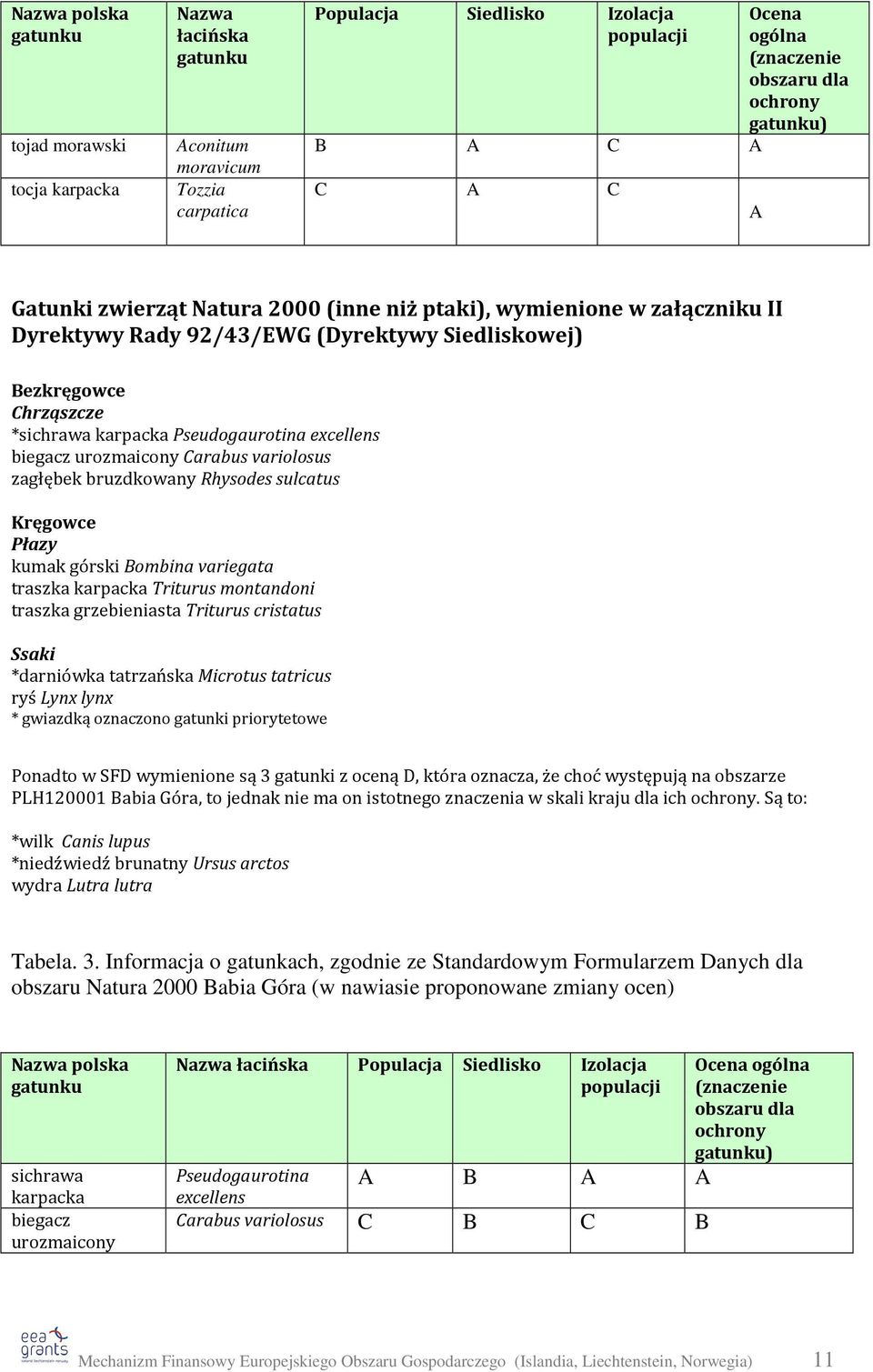 Pseudogaurotina excellens biegacz urozmaicony Carabus variolosus zagłębek bruzdkowany Rhysodes sulcatus Kręgowce Płazy kumak górski Bombina variegata traszka karpacka Triturus montandoni traszka