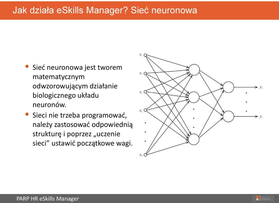 działanie biologicznego układu neuronów.