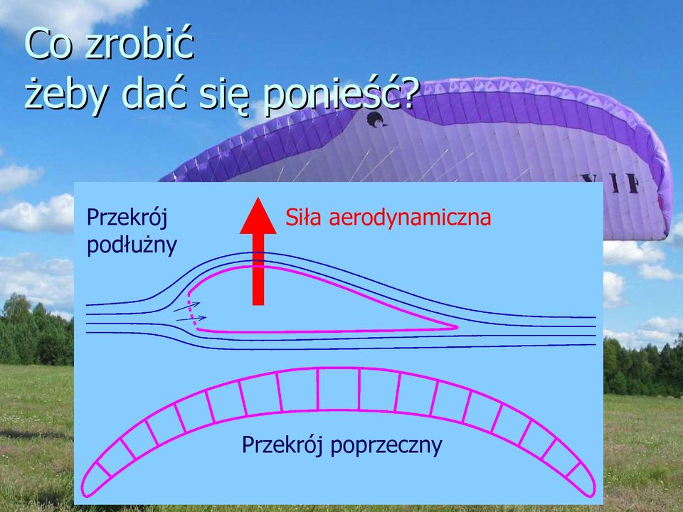 Przekrój podłuŝny Siła