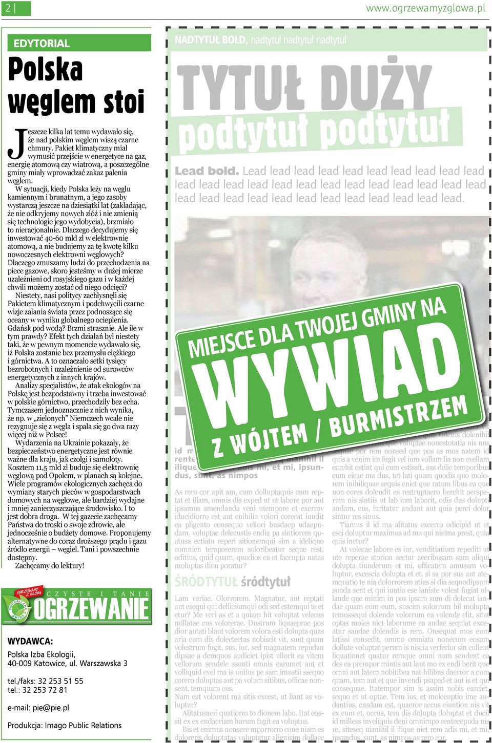 W sytuacji, kiedy Polska leży na węglu kamiennym i brunatnym, a jego zasoby wystarczą jeszcze na dziesiątki lat (zakładając, że nie odkryjemy nowych złóż i nie zmienią się technologie jego