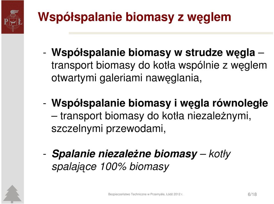 równoległe transport biomasy do kotła niezależnymi, szczelnymi przewodami, - Spalanie