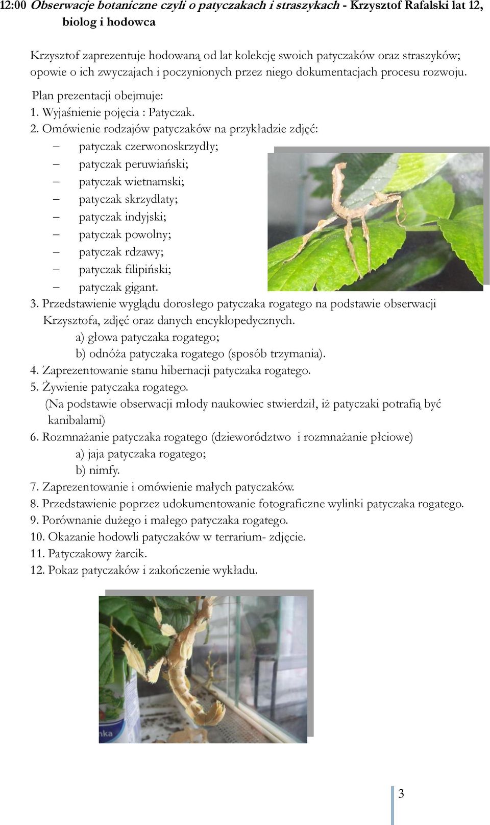 Omówienie rodzajów patyczaków na przykładzie zdjęć: patyczak czerwonoskrzydły; patyczak peruwiański; patyczak wietnamski; patyczak skrzydlaty; patyczak indyjski; patyczak powolny; patyczak rdzawy;