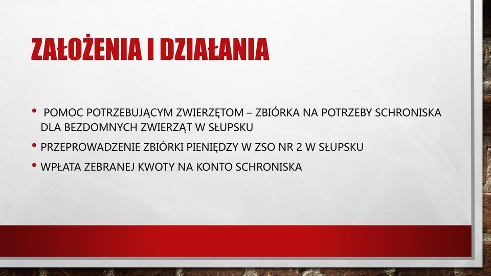 ZWIERZĄT W SŁUPSKU PRZEPROWADZENIE ZBIÓRKI PIENIĘDZY