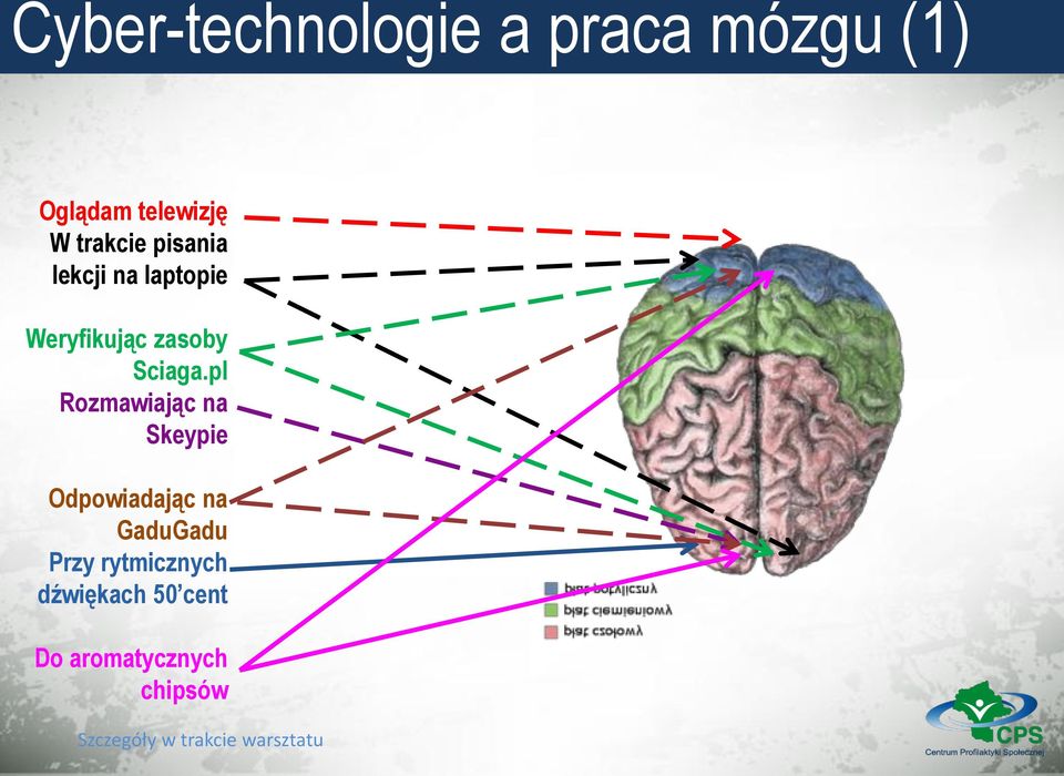 Sciaga.