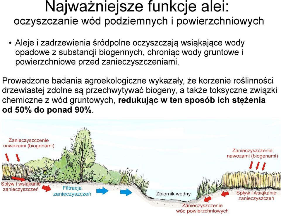 zanieczyszczeniami.