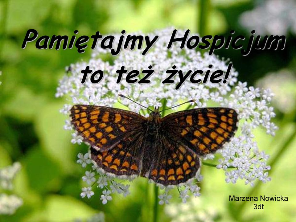 też życie!