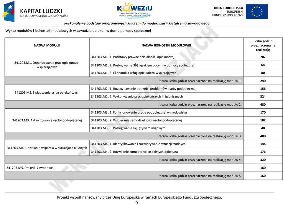 Ekonomika usług opiekuńczo-wspierających 80 łączna liczba godzin przeznaczona na realizację modułu 1. 240 341203.M2. Świadczenie usług opiekuńczych 341203.M2.J1.