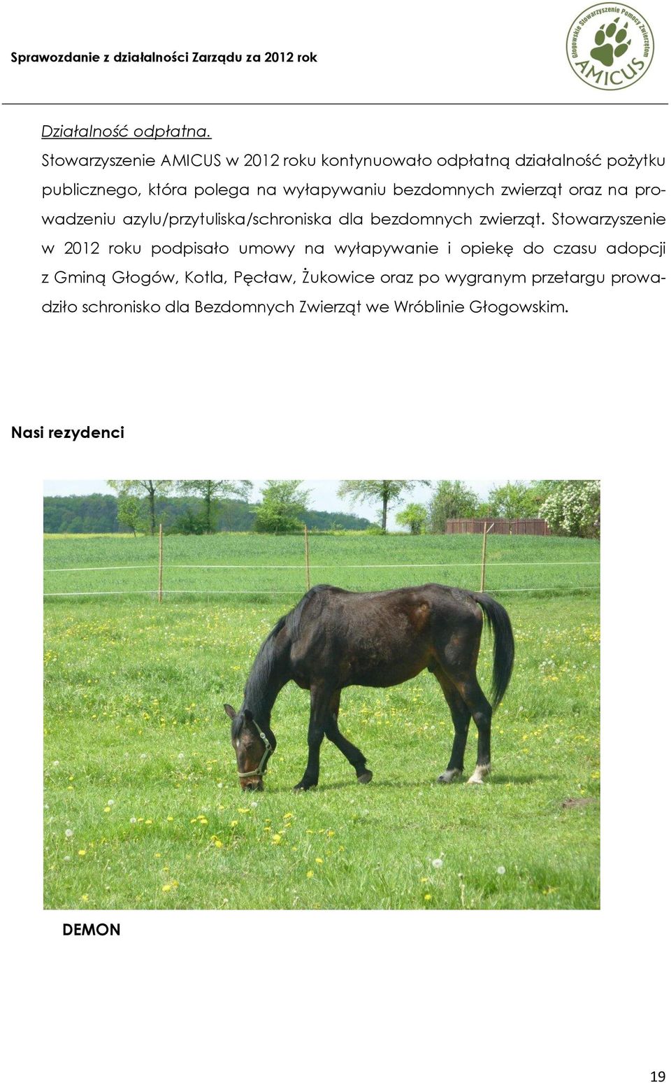 bezdomnych zwierząt oraz na prowadzeniu azylu/przytuliska/schroniska dla bezdomnych zwierząt.