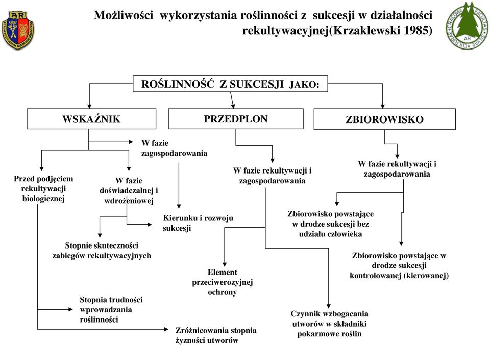 Kierunku i rozwoju sukcesji Element przeciwerozyjnej ochrony Zróżnicowania stopnia żyzności utworów W fazie rekultywacji i zagospodarowania Zbiorowisko powstające w drodze
