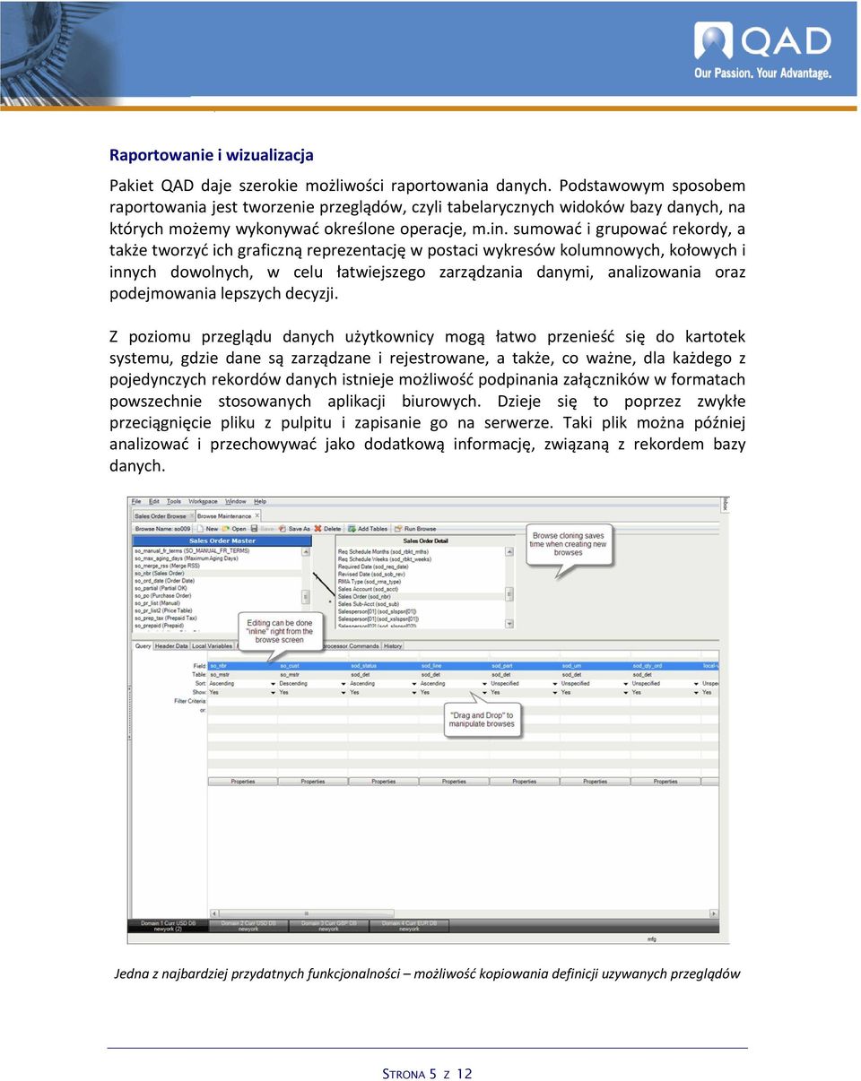 sumować i grupować rekordy, a także tworzyć ich graficzną reprezentację w postaci wykresów kolumnowych, kołowych i innych dowolnych, w celu łatwiejszego zarządzania danymi, analizowania oraz
