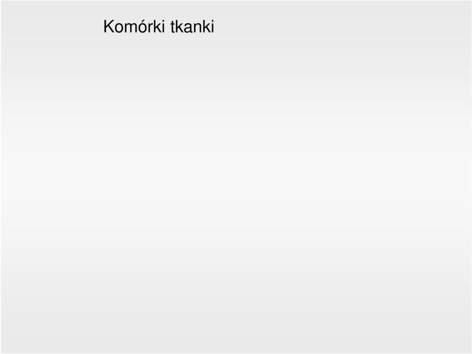 skład Heparyna, Histamina, Czynnik chemotaktyczny dla granulocytów kwasochłonnych