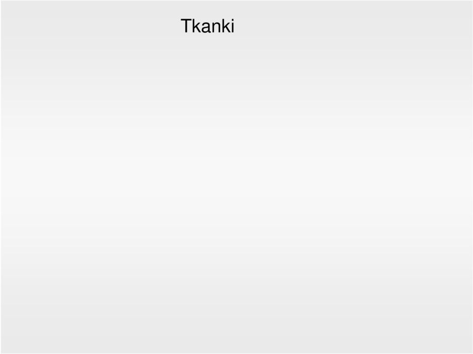 Komórki tkanki łącznej + substancja międzykomórkowa Tkanka łączna
